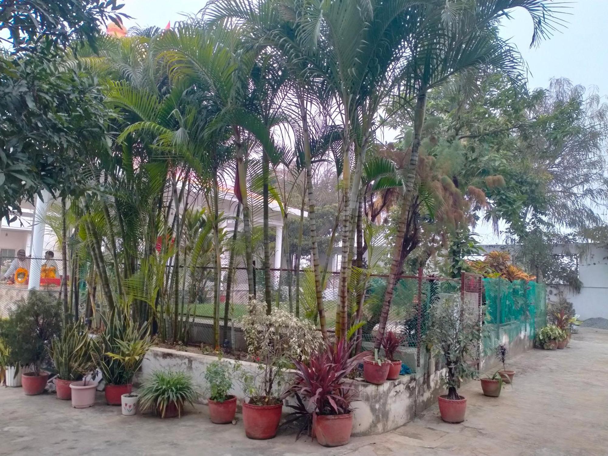 Vedic Villa Varanasi Ngoại thất bức ảnh
