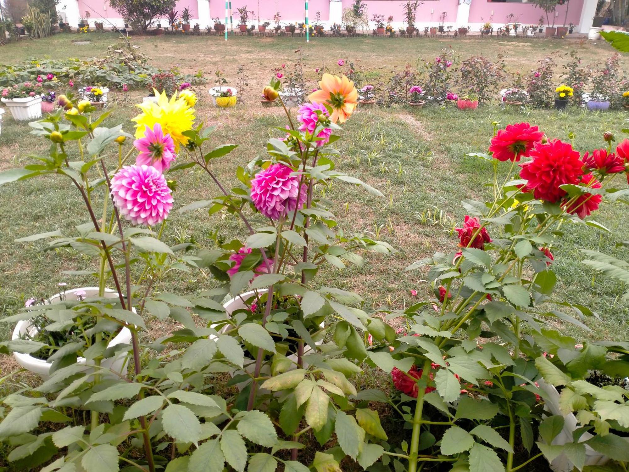 Vedic Villa Varanasi Ngoại thất bức ảnh