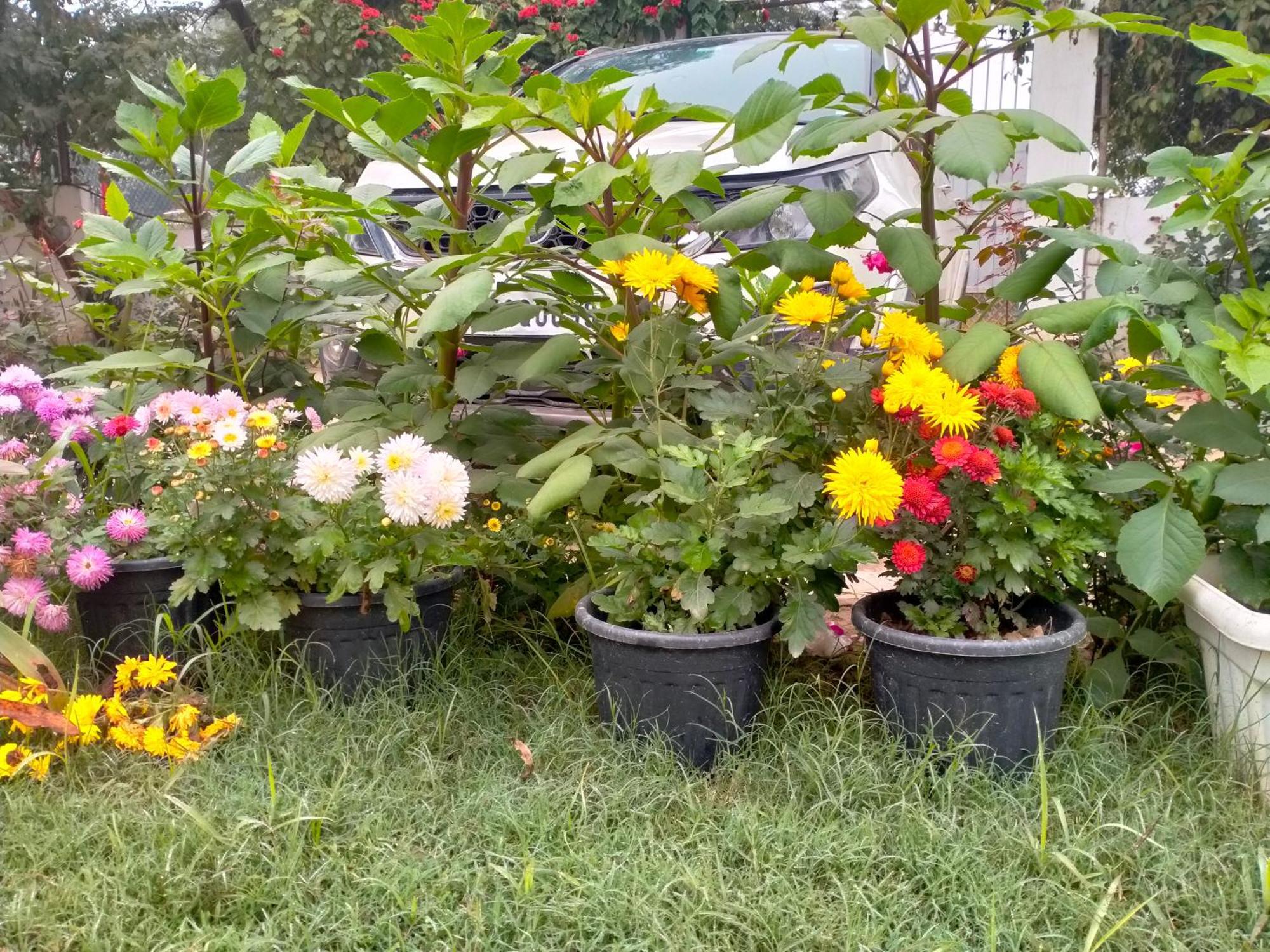Vedic Villa Varanasi Ngoại thất bức ảnh
