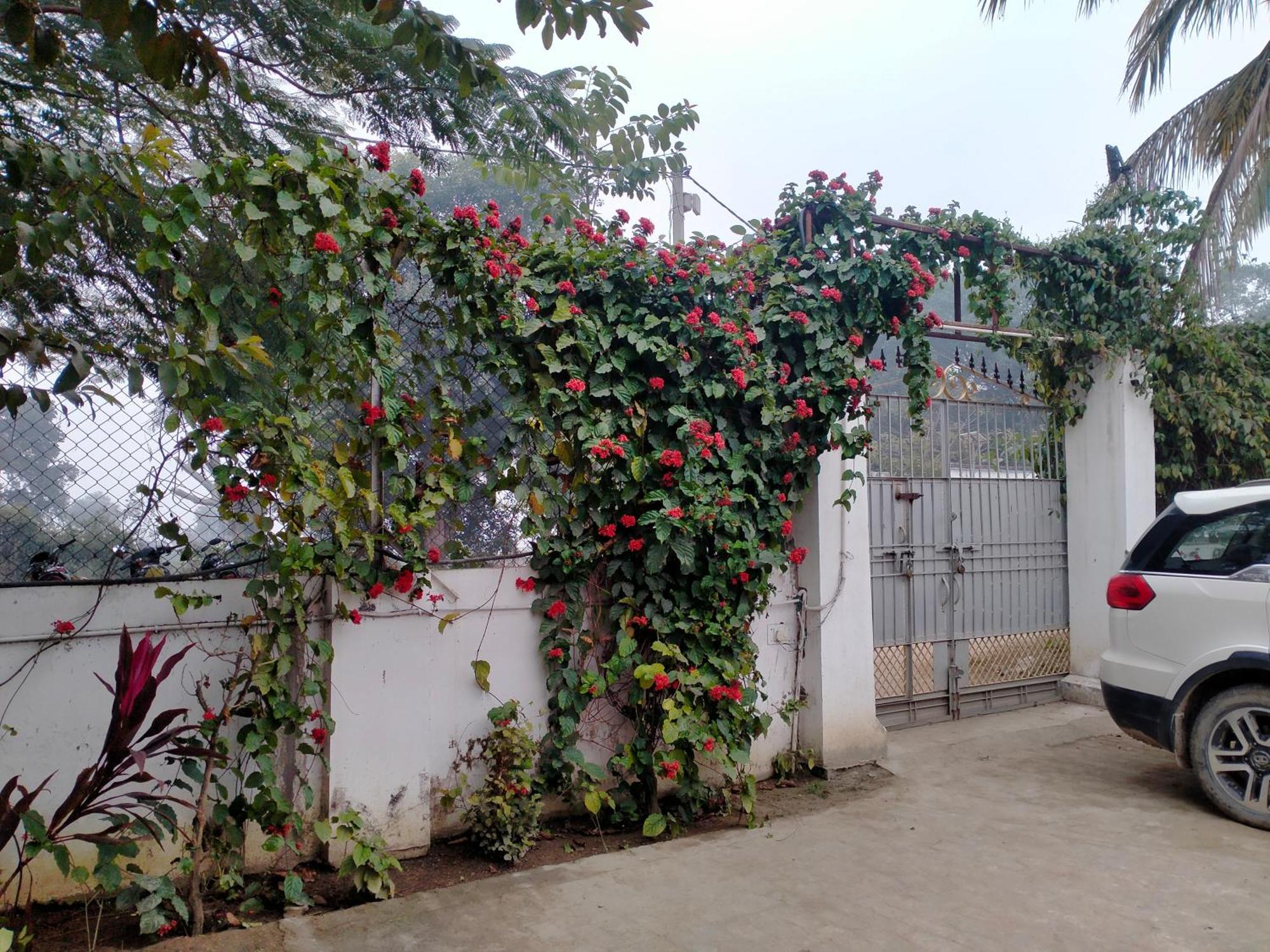 Vedic Villa Varanasi Ngoại thất bức ảnh